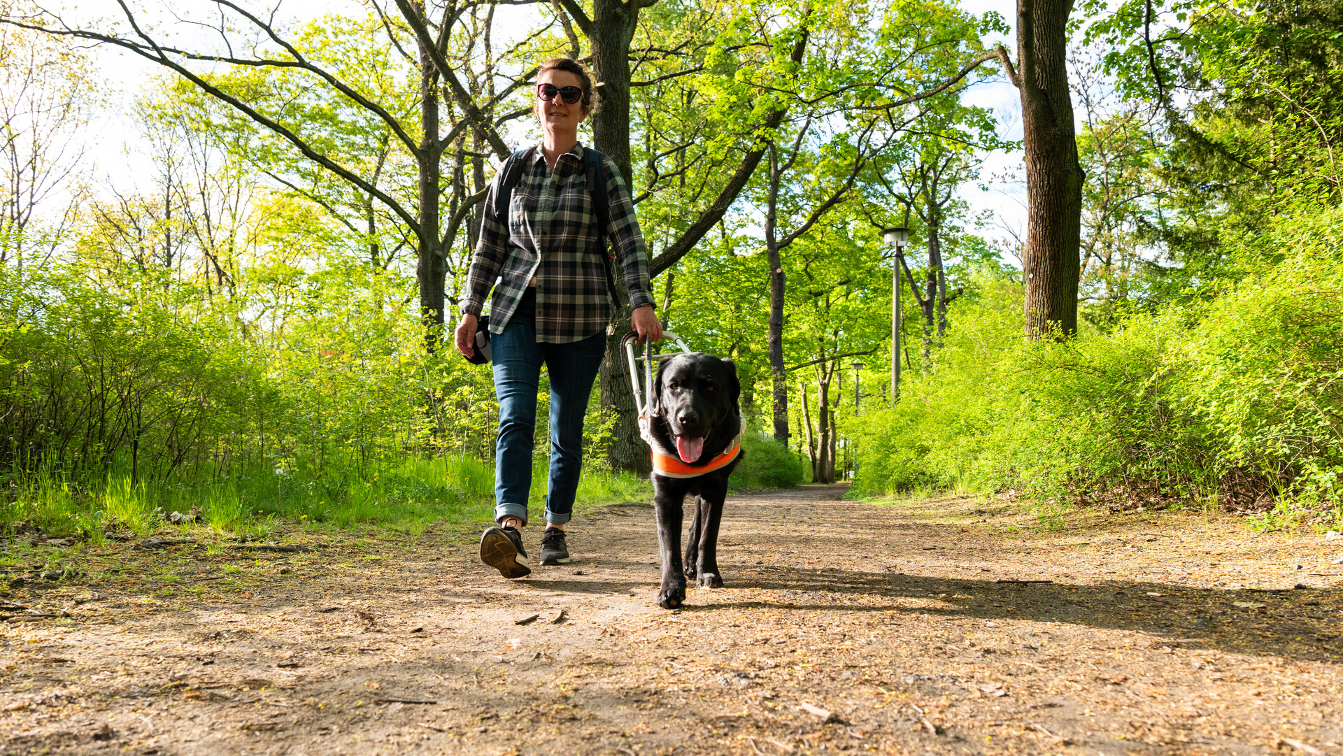 Frau mit Blindenhund Frau mit Blindenhund im Wald